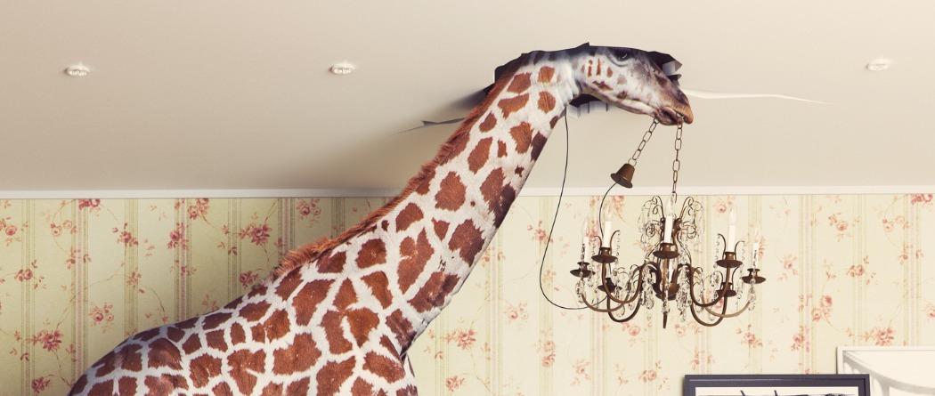 Giraffe's head going through the ceiling in the living room