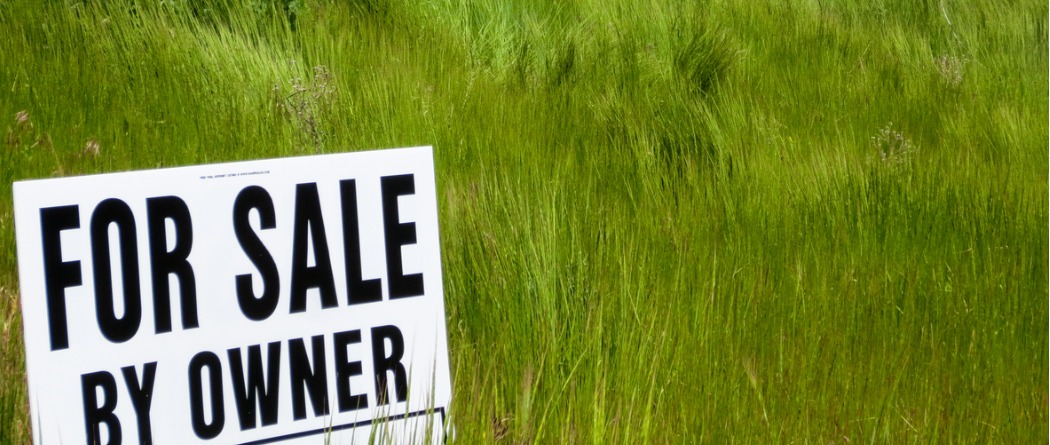 A "For Sale By Owner" sign in the tall green grass.